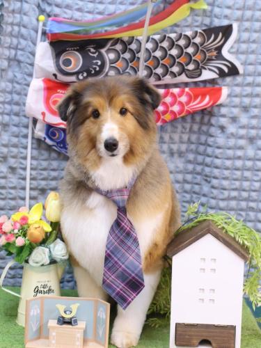 20230520リクくん